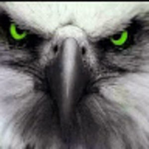 Meet your Posher, Donald